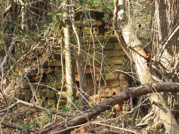Raised Image1