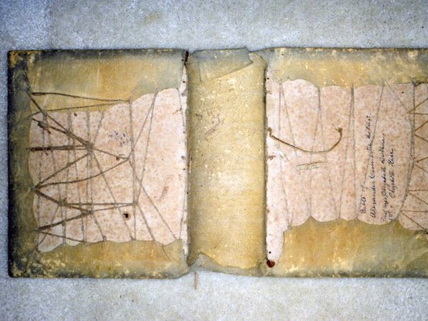 Raised Image4